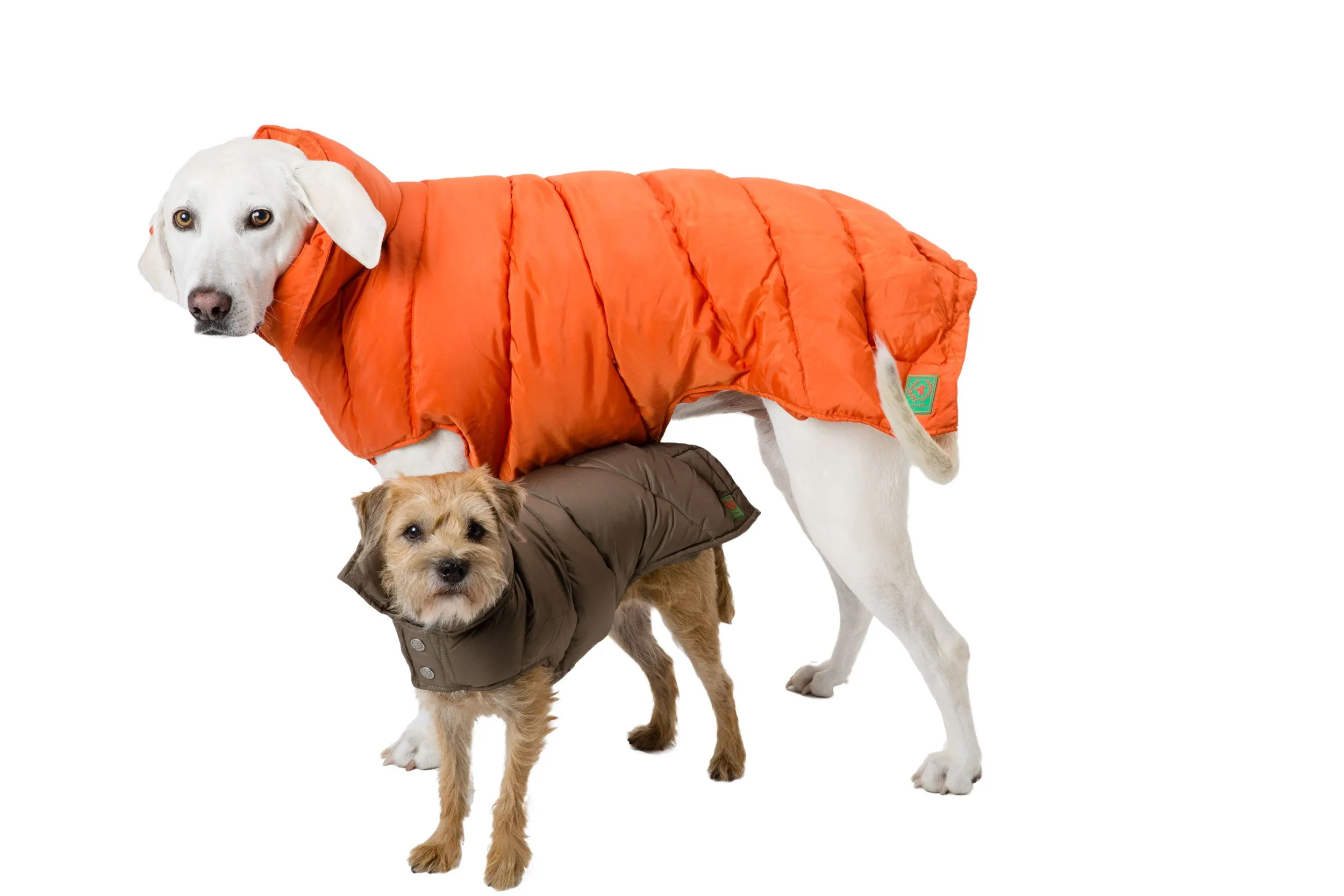 Down Puffer Coat - Orange, Loden & Black