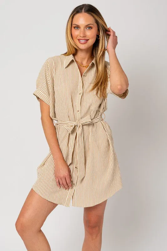 The One Shirt Dress